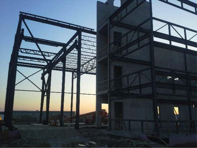 Bolton 12